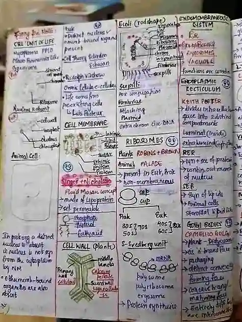 how to make short notes for Botany NEET